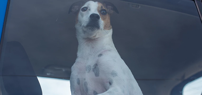 Car Lockout Solutions in Arvin, California