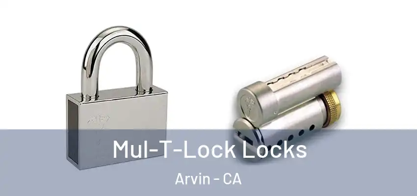  Mul-T-Lock Locks Arvin - CA